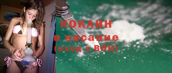 шишки Волоколамск
