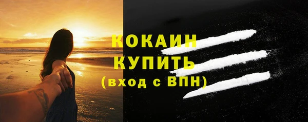 шишки Волоколамск