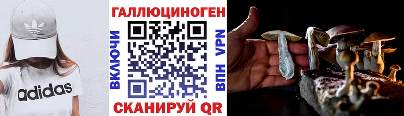 Псилоцибиновые грибы Psilocybine cubensis  Купить где  Малгобек 